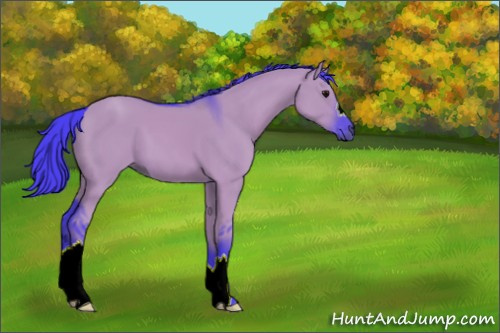 Horse Color:Watercolor Smoky Grullo 
