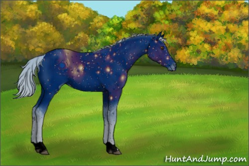 Horse Color:ERROR: UNKNOWN ANOMALY