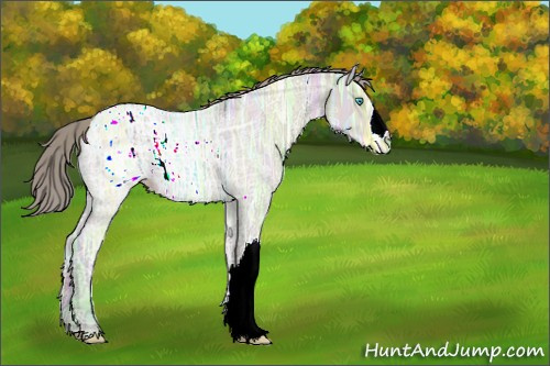 Horse Color:Watercolor Perlino Ice Dun 