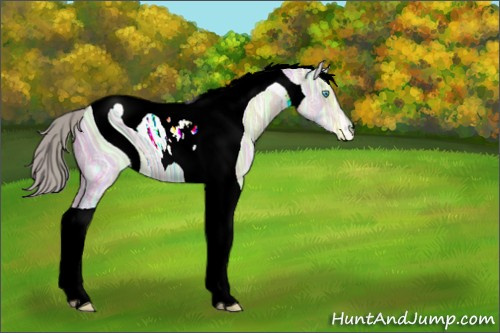 Horse Color:ERROR: UNKNOWN ANOMALY