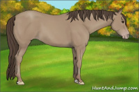 Horse Color:Classic Champagne 