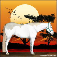 Horse Color:Perlino Ice Splash 