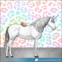 Horse Color:Liver Red Dun Sabino Splash Appaloosa 