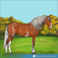 Horse Color:White Spotted Silver Bay Splash 