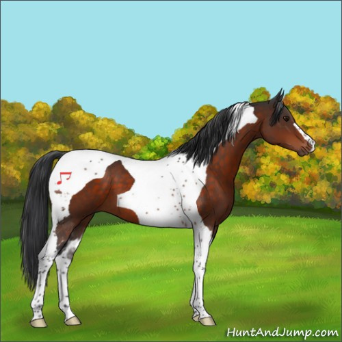 Horse Color:Brown Tobiano 