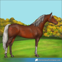 Horse Color:Silver Bay Tobiano 
