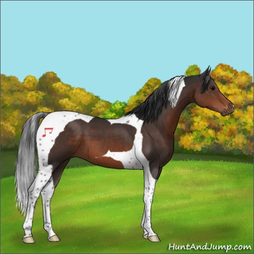Horse Color:Brown Tobiano 