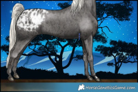 Horse Color:Liver Chestnut Ice Mushroom Appaloosa Rabicano 
