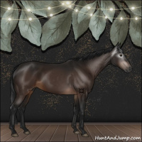 Horse Color:Gray Brown 