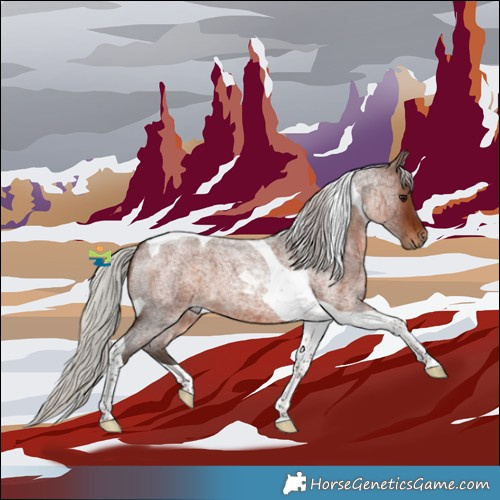 Horse Color:Silver Brown Roan Tobiano 