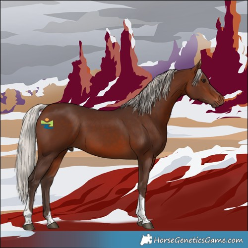 Horse Color:Silver Brown Tobiano 