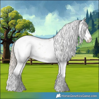 Horse Color:Chocolate Palomino Sabino Splash Snowcap 