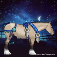 Horse Color:Gray Grullo Pearl Appaloosa 