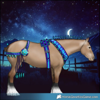 Horse Color:Gray Grullo Pearl 