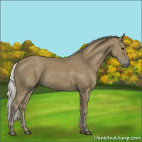 Horse Color:Silver Smoky Black 