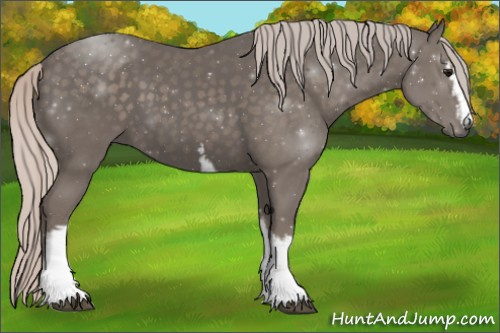 Horse Color:White Spotted Silver Black 