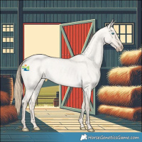 Horse Color:Smoky Creme Roan Dun 