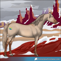 Horse Color:Red Dun 