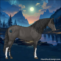 Horse Color:Black 