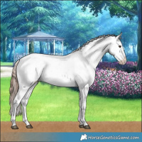 Horse Color:Liver Chestnut Sabino Splash Snowflake Varnish