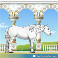 Horse Color:Liver Red Dun Sabino Splash Appaloosa 