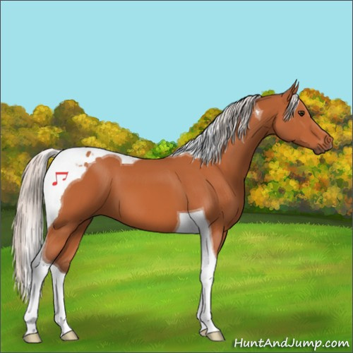 Horse Color:Silver Bay Tobiano 