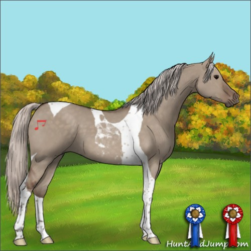 Horse Color:Silver Grullo Tobiano 