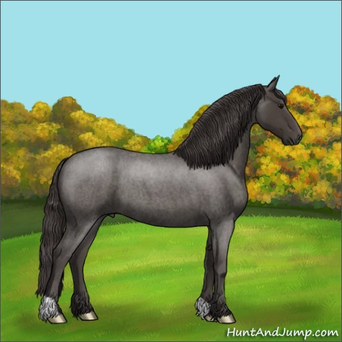 Horse Color:Smoky Blue Roan 