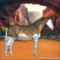 Horse Color:Silver Smoky Black Splash 