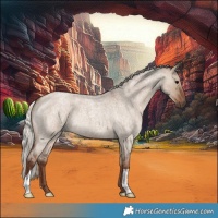 Horse Color:Silver Grullo Roan 