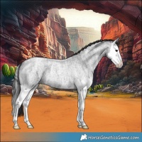 Horse Color:Smoky Blue Ice Roan Splash 