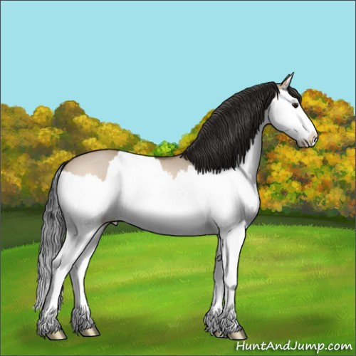 Horse Color:Bay Roan Dun Splash 