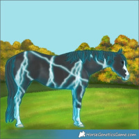 Horse Color:Thunderstruck Black 