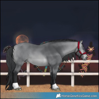 Horse Color:Bay Chinchilla