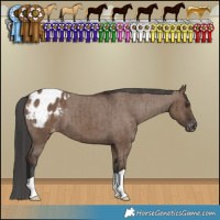 Horse Color:Liver Red Dun Varnish Brindle 