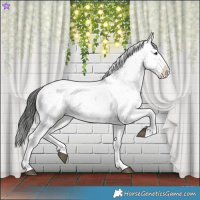 Horse Color:Brown Sabino Splash Snowflake Varnish