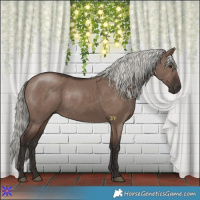 Horse Color:Liver Red Dun Mushroom 