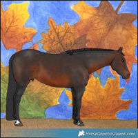 Horse Color:Brown 