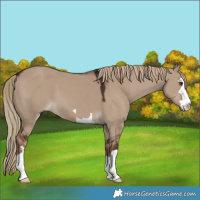 Horse Color:Liver Red Dun 
