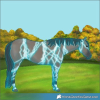 Horse Color:Thunderstruck Grullo