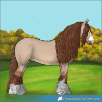 Horse Color:Red Dun 
