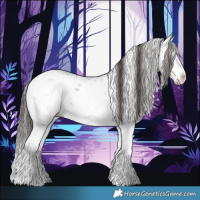 Horse Color:Liver Chestnut Sabino Splash Appaloosa 