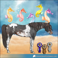 Horse Color:Brown Tobiano Frame Varnish 