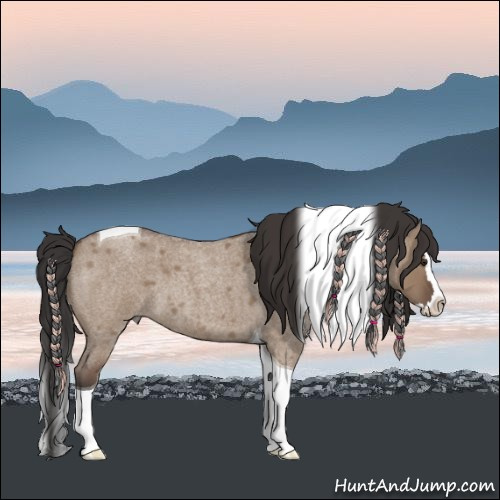 Horse Color:Bay Roan Dun Splash Tobiano 