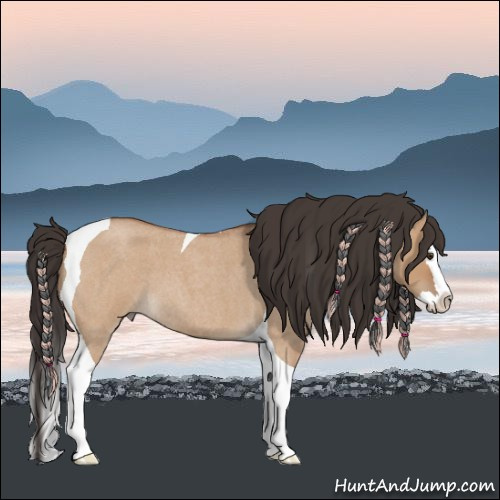 Horse Color:Bay Roan Dun Splash Tobiano 