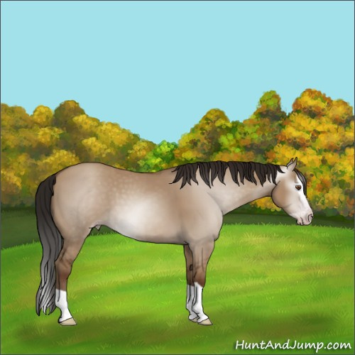 Horse Color:Gray Classic Champagne Dun Splash 