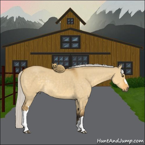 Horse Color:Silver Buckskin Dun Rabicano 