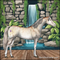Horse Color:White Spotted Silver Brown Pearl Onyx Sabino Brindle 