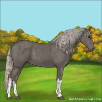 Horse Color:Silver Black 