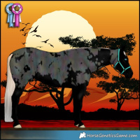 Horse Color:Void White Spotted Midnight Perlino Ice Splash 